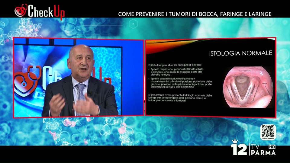 Watch 12 TV Parma